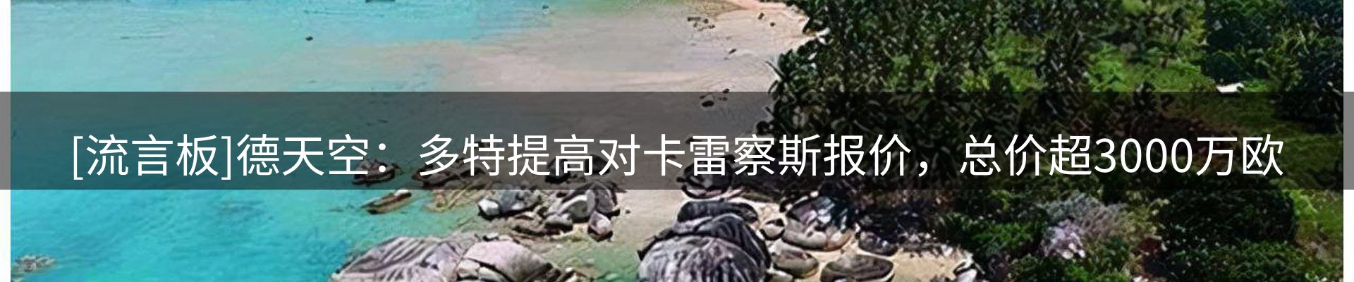 新闻资讯